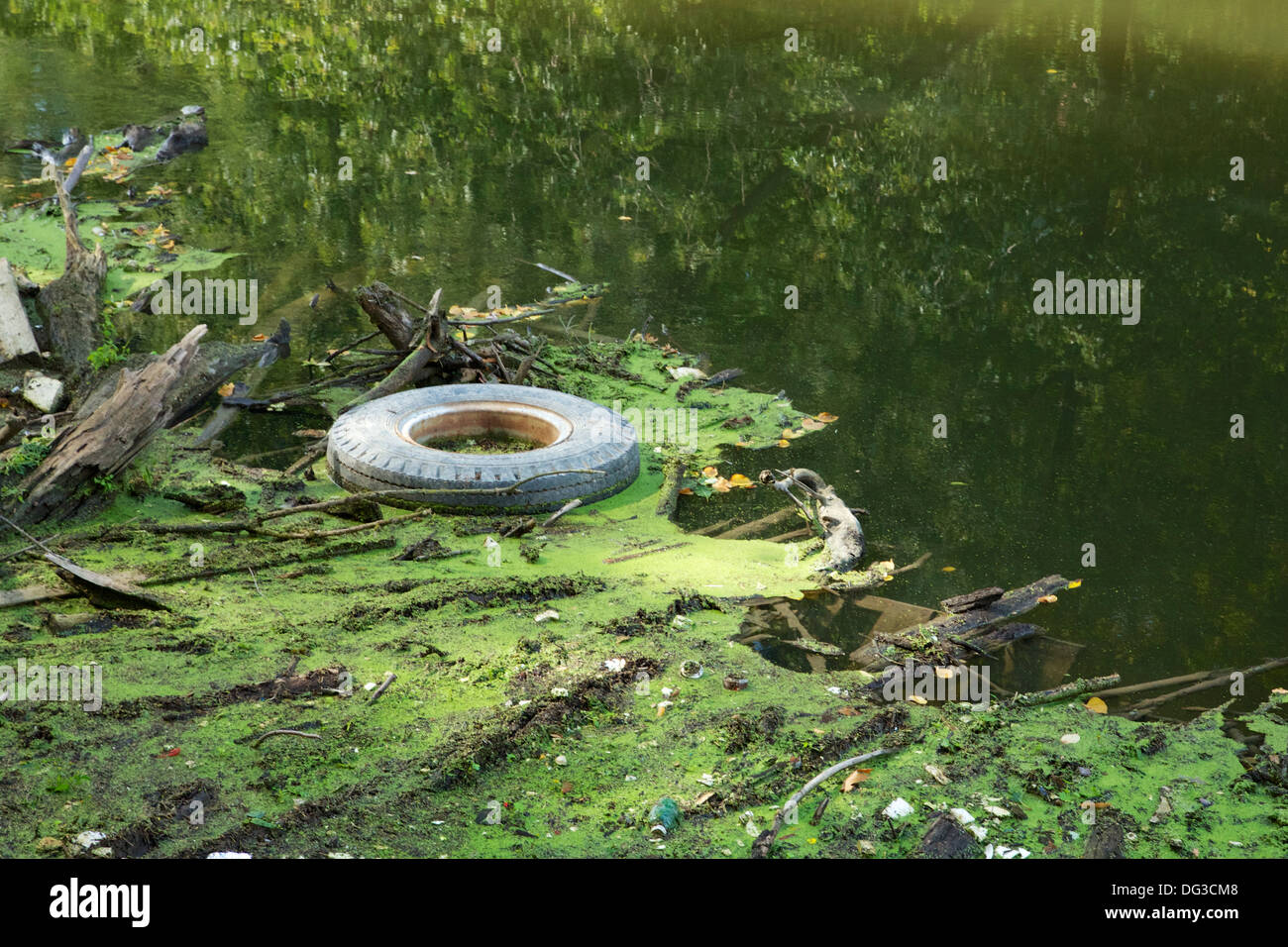 Floating debris on the Des Plaines River. Cook County, Illinois Stock Photo