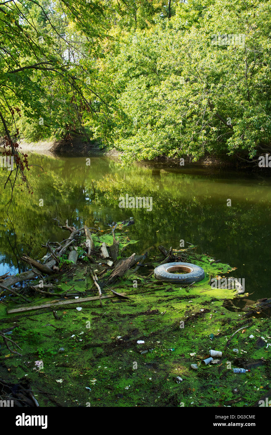 Floating debris on the Des Plaines River. Cook County, Illinois Stock Photo