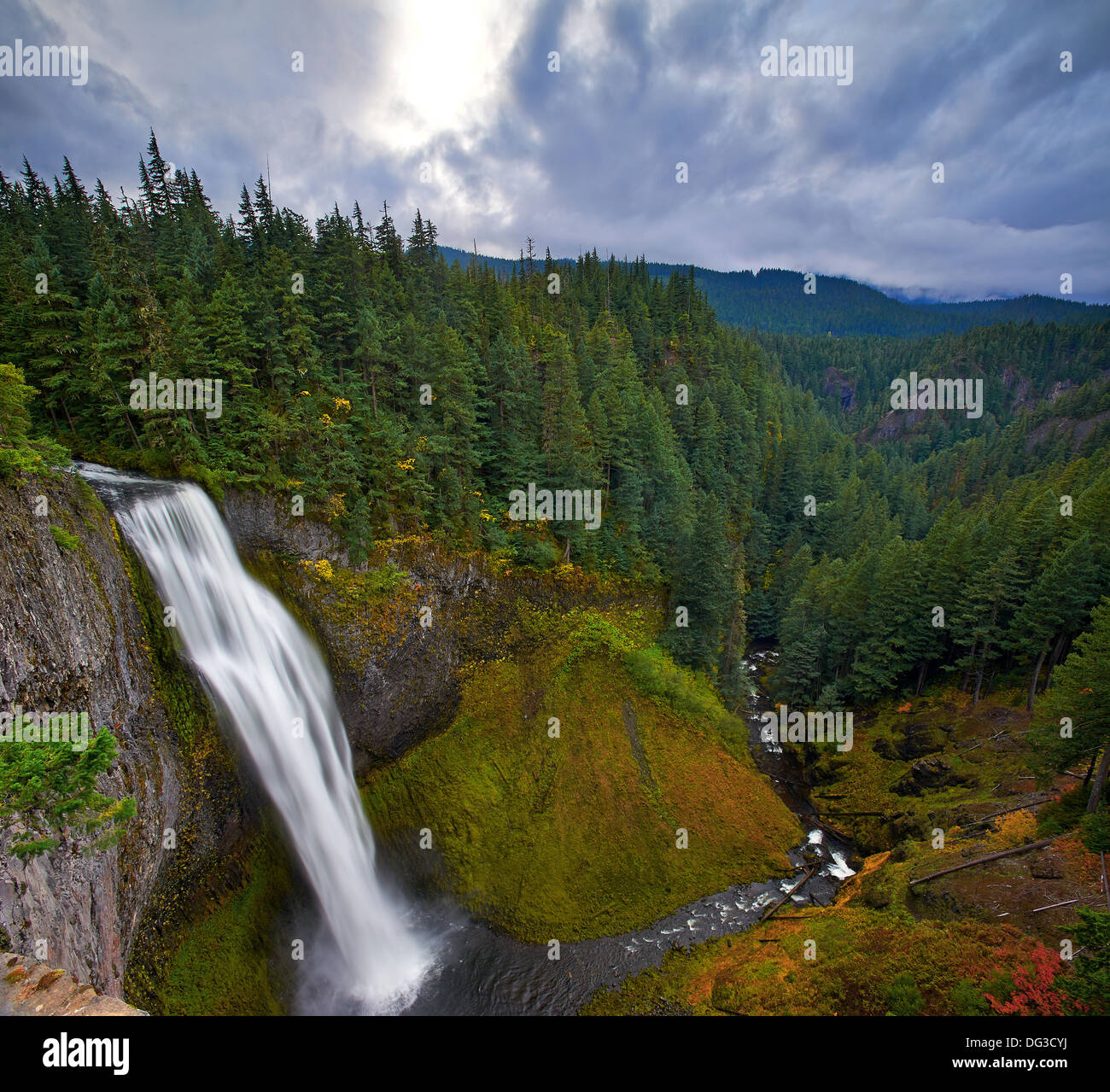 Singles in salt creek or Finley River Boys : tous les albums et les singles