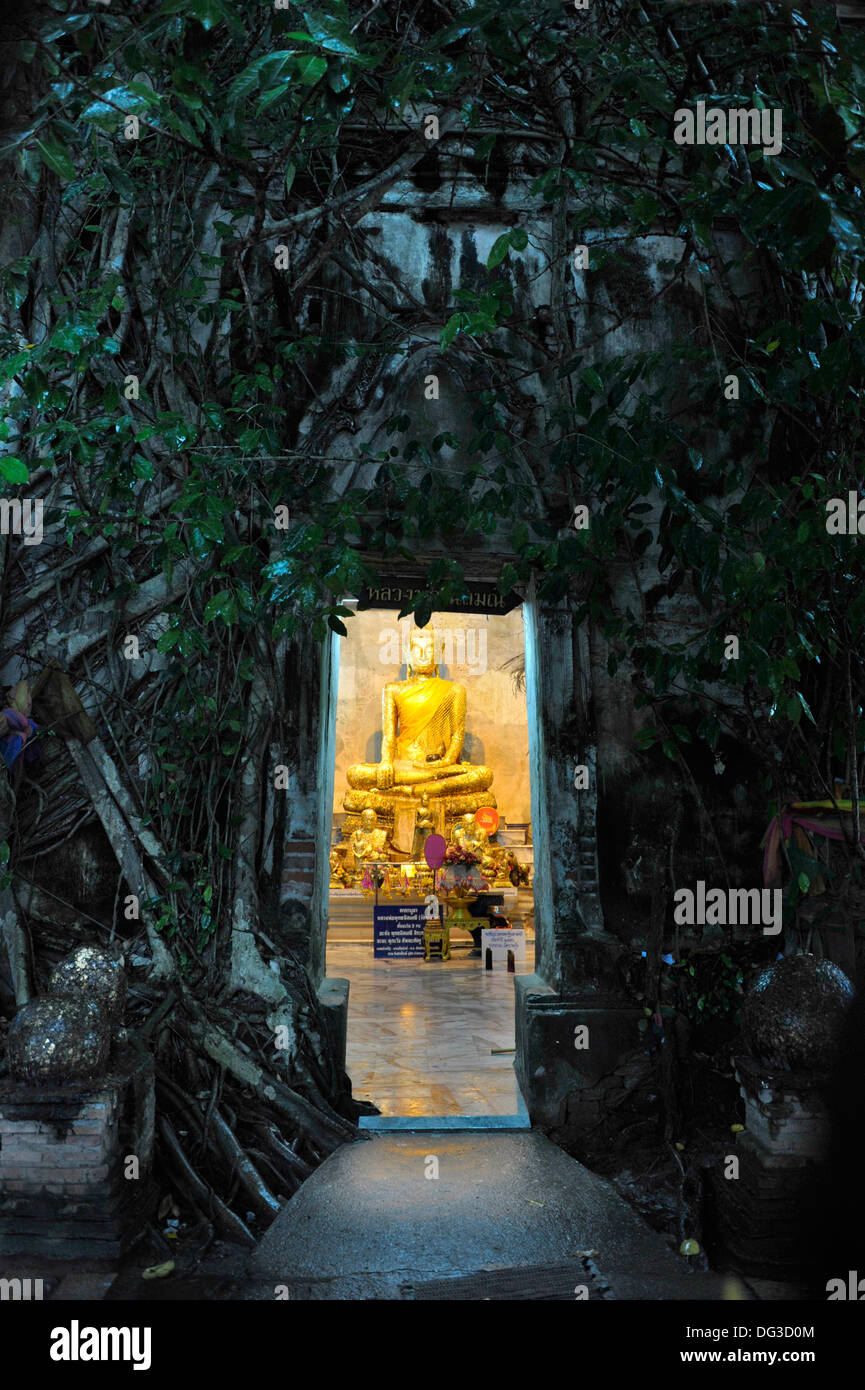 The banyan tree temple at Wat Bang Kung in Amphawa, Samut Songkram in Thailand. Stock Photo