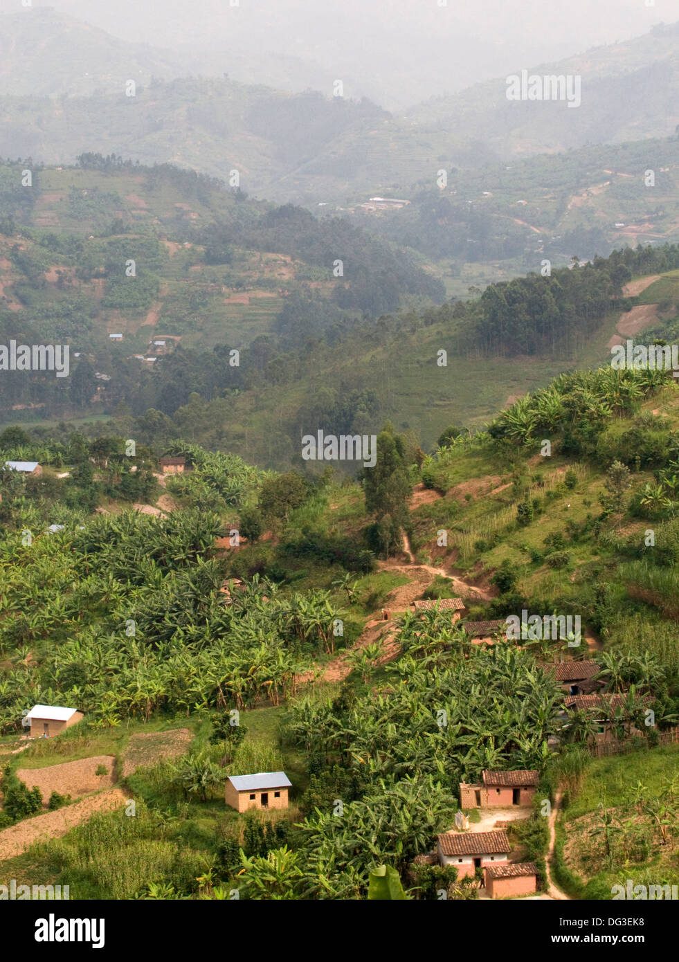 Rural Rwanda Land of 1000 Hills farms banana and hills with terracing