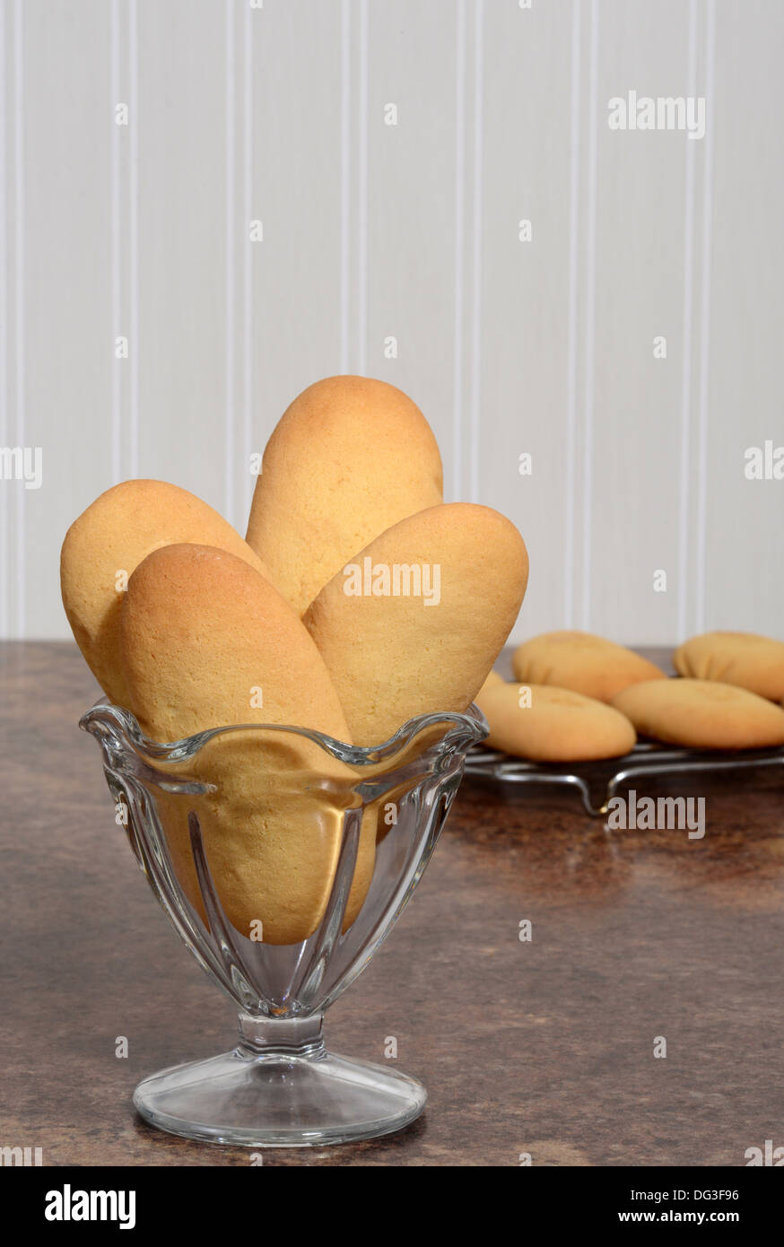 closeup giant lady finger cookies in a dish Stock Photo Alamy