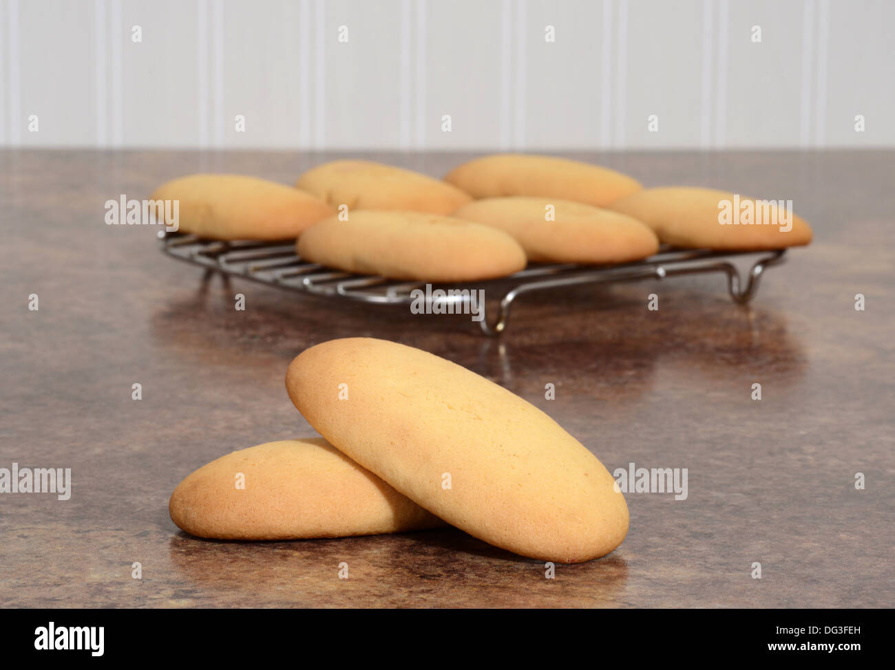 macro giant lady finger cookies Stock Photo Alamy