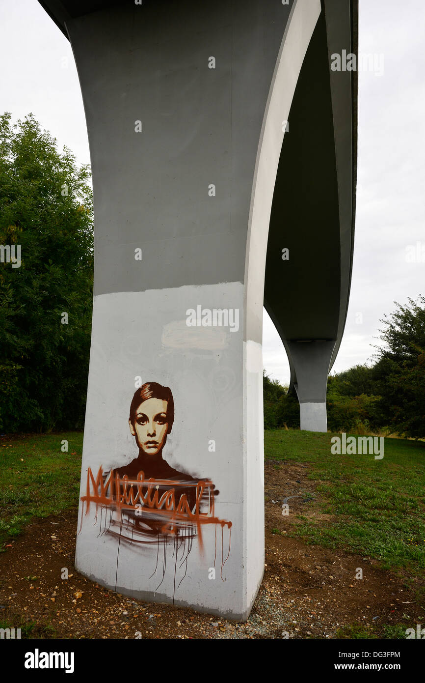 Ant Carver's graffiti painting of Twiggy at Deanshanger, Northamptonshire, 13/10/2013. Stock Photo