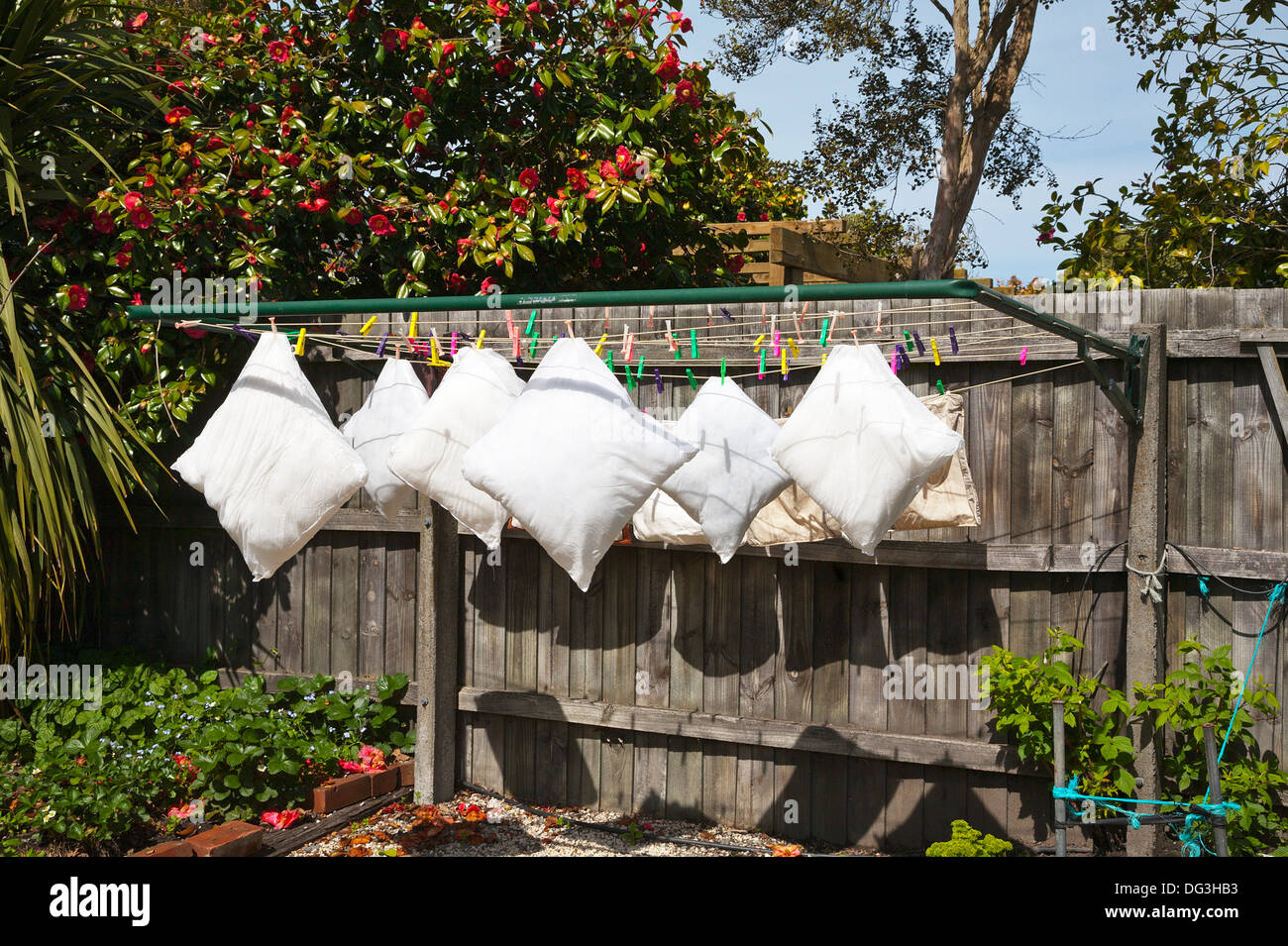 Washed cushions and cushion covers drying hanging on a washing line in the sunshine. Stock Photo