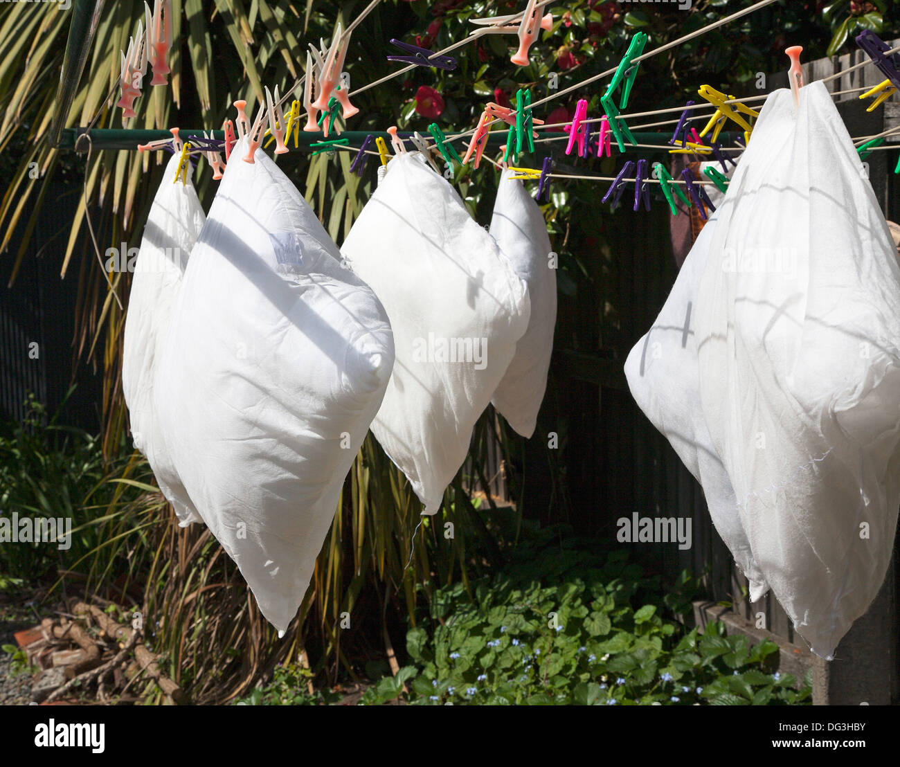 Washed cushions and cushion covers drying hanging on a washing line in the sunshine. Stock Photo