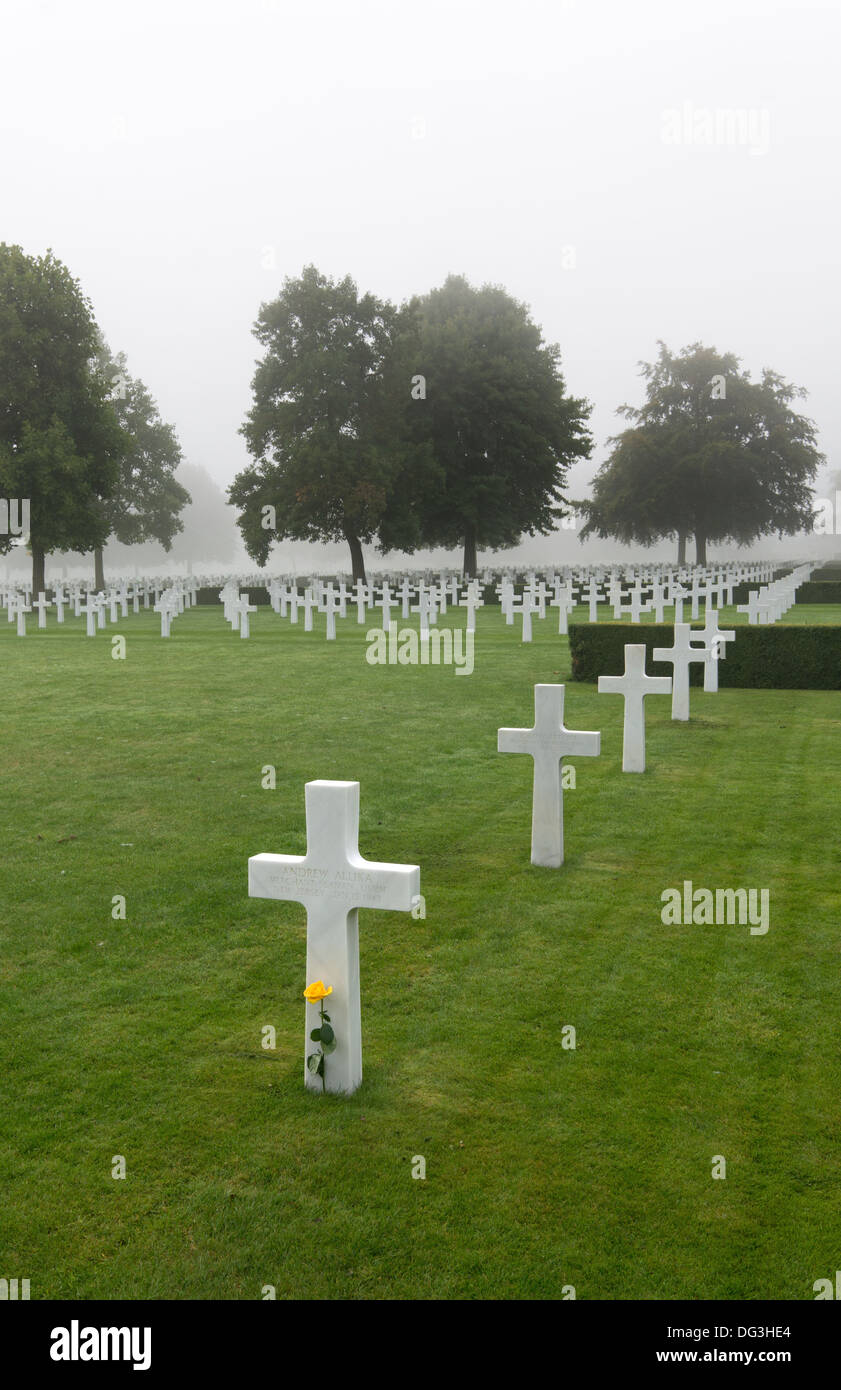 A single yellow flower amongst rows of graves at the American war cemetery on a misty day at Cambridge, England UK Stock Photo