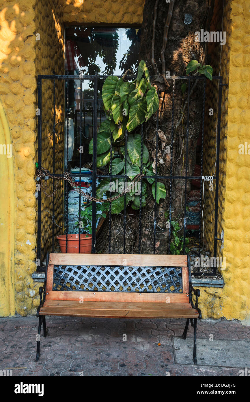 wooden bench in front of a wall framing a tree with leaves Stock Photo ...