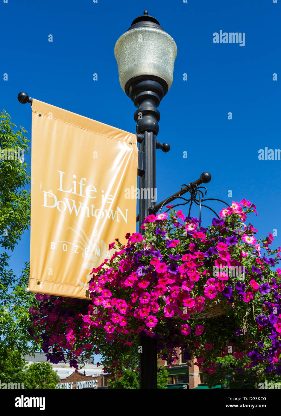 Hanging flower basket and 'Life is Downtown' banner on Main Street, Bozeman, Montana, USA Stock Photo