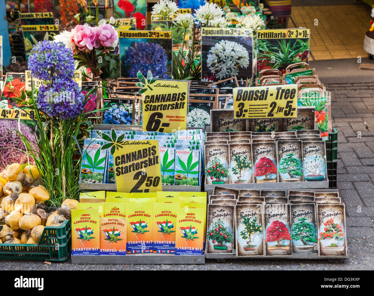 Cannabis seeds on sale in the flower market, Amsterdam, Holland - Cannabis Starter Kit - with other packets of seeds Stock Photo