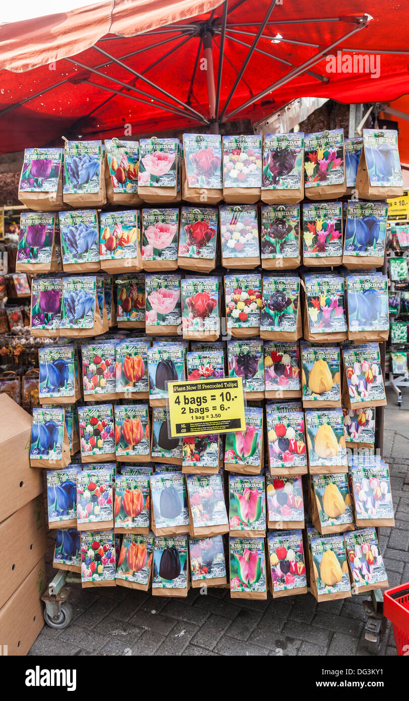 Packets of Dutch tulip bulbs for sale in flower market in Amsterdam, Holland Stock Photo