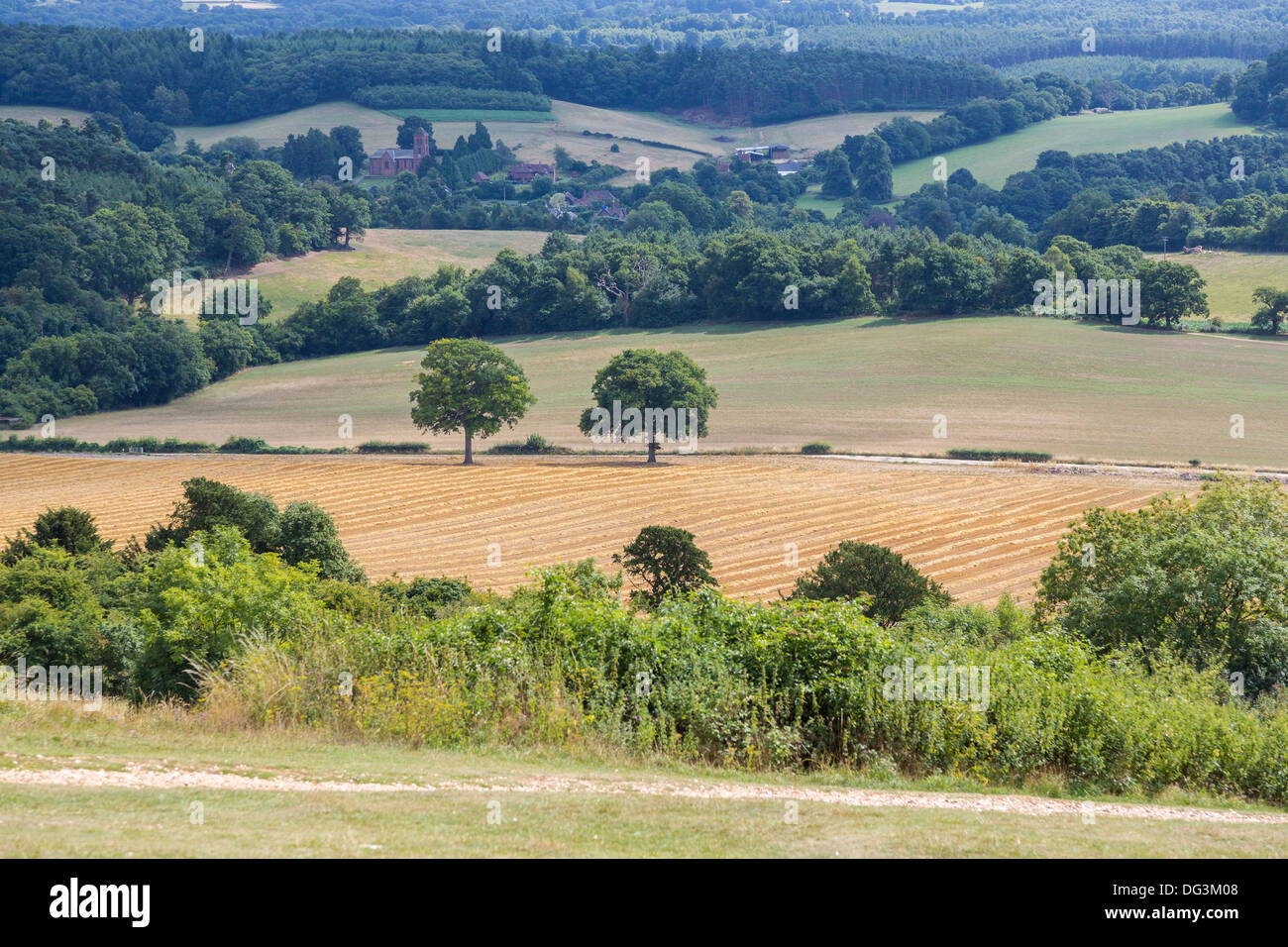 View of Surrey countryside in summer, from Newlands Corner, Guildford, Surrey, southern England, UK Stock Photo