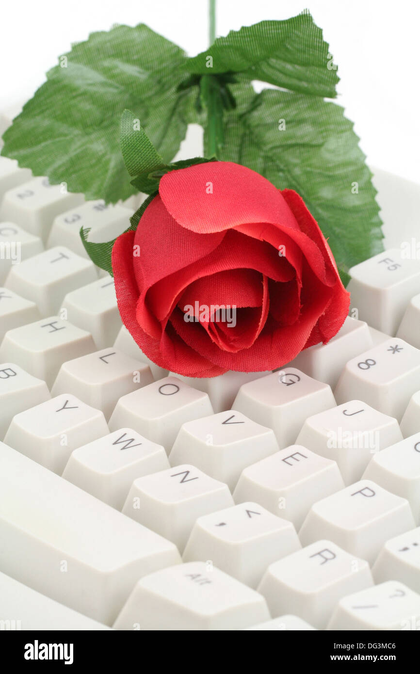 artificial red rose and keyboard close up Stock Photo