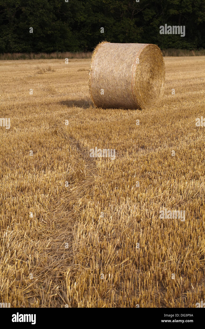 Industrial industry irritation land landscape large livestock