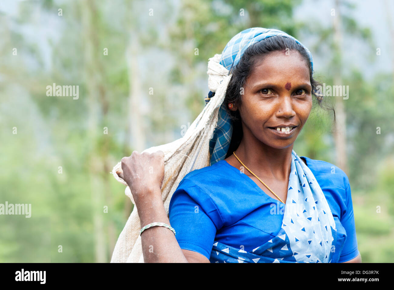 Portrait of a Tamil tea plucker, Dickoya, Hill Country, Sri Lanka, Indian Ocean, Asia Stock Photo