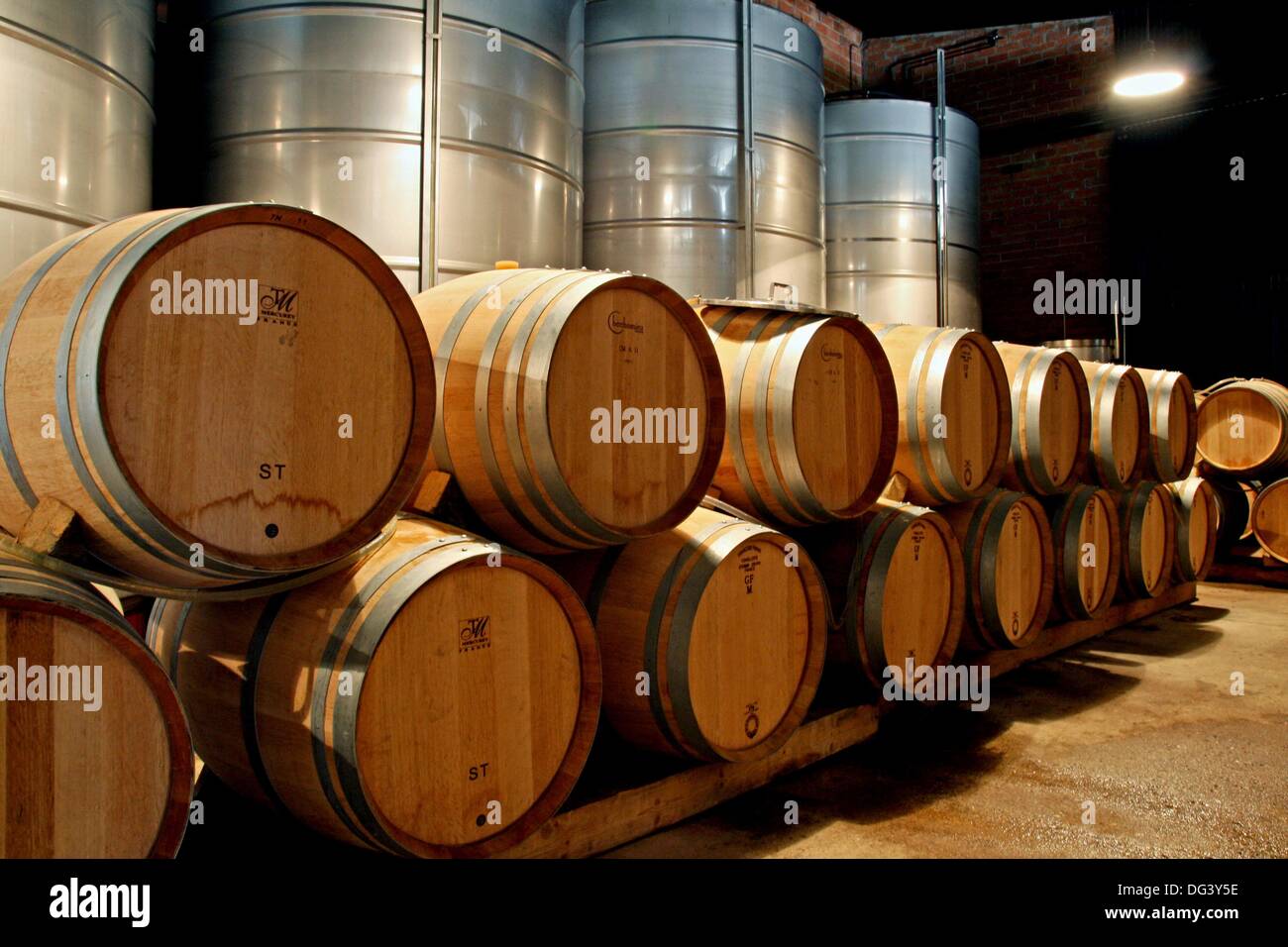 wooden barrels and wine silos, Parxet wineries, Santa Maria de Stock