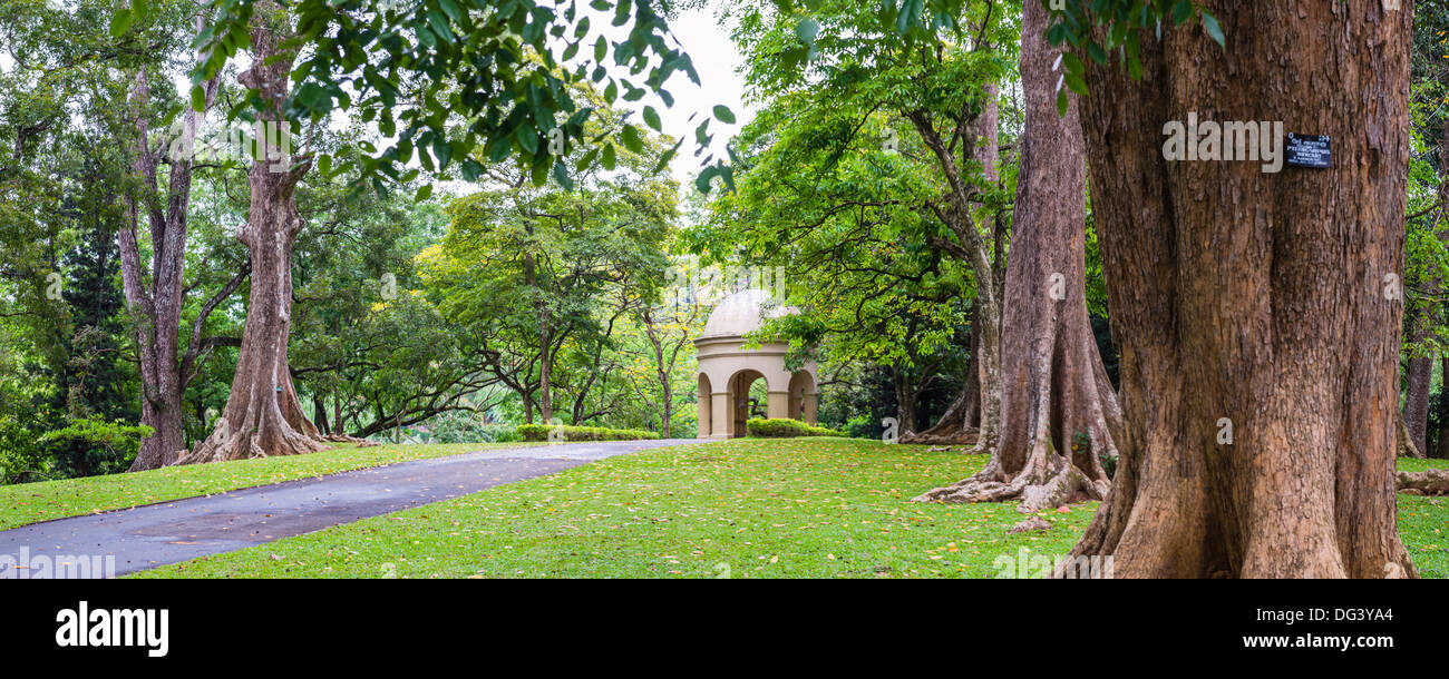 Kandy Royal Botanical Gardens, Peradeniya, Kandy, Sri Lanka, Asia Stock Photo