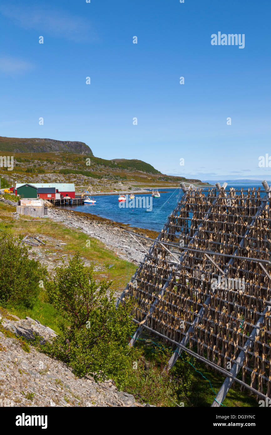 Cod drying on traditional drying racks, Nordkapp, Finnmark, Norway, Scandinavia, Europe Stock Photo