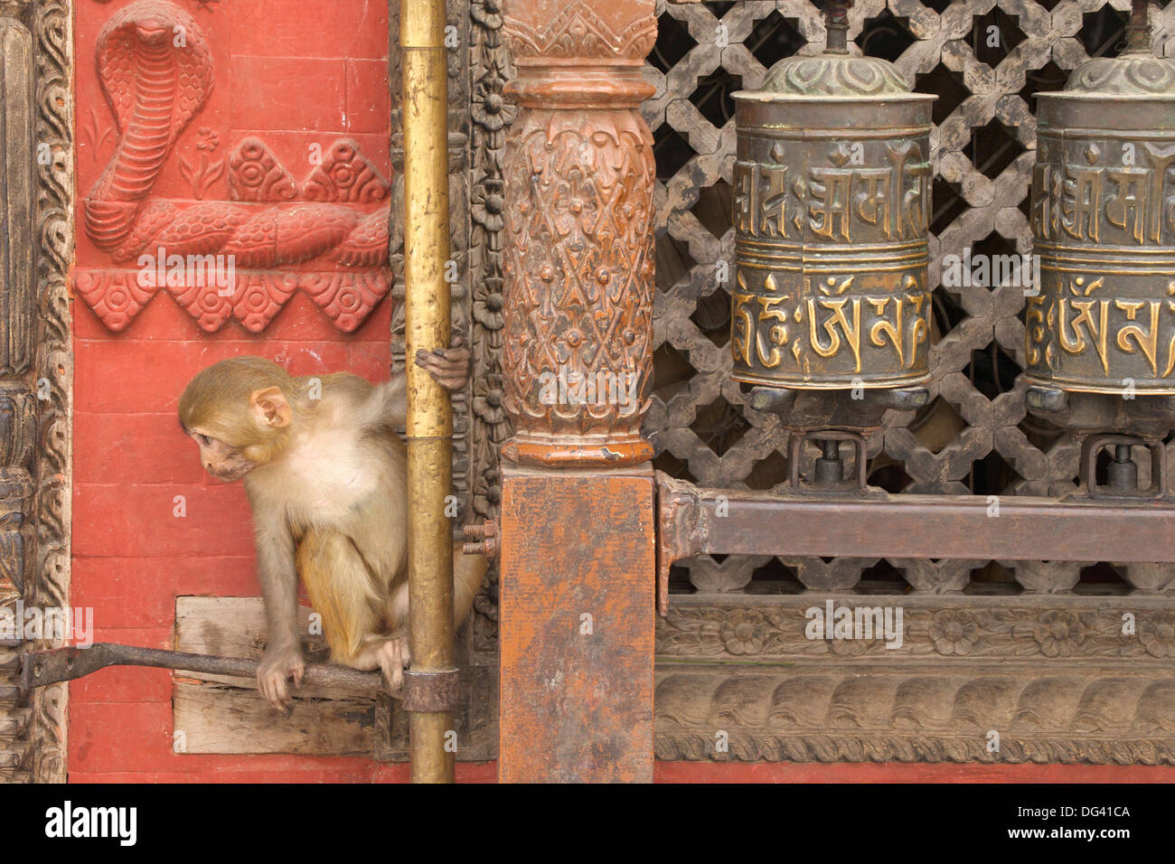Rhesus Macaque monkey baby on ancient shrine, Swayambhunath Stupa (Monkey Temple), UNESCO World Heritage Site, Kathmandu,  Nepal Stock Photo