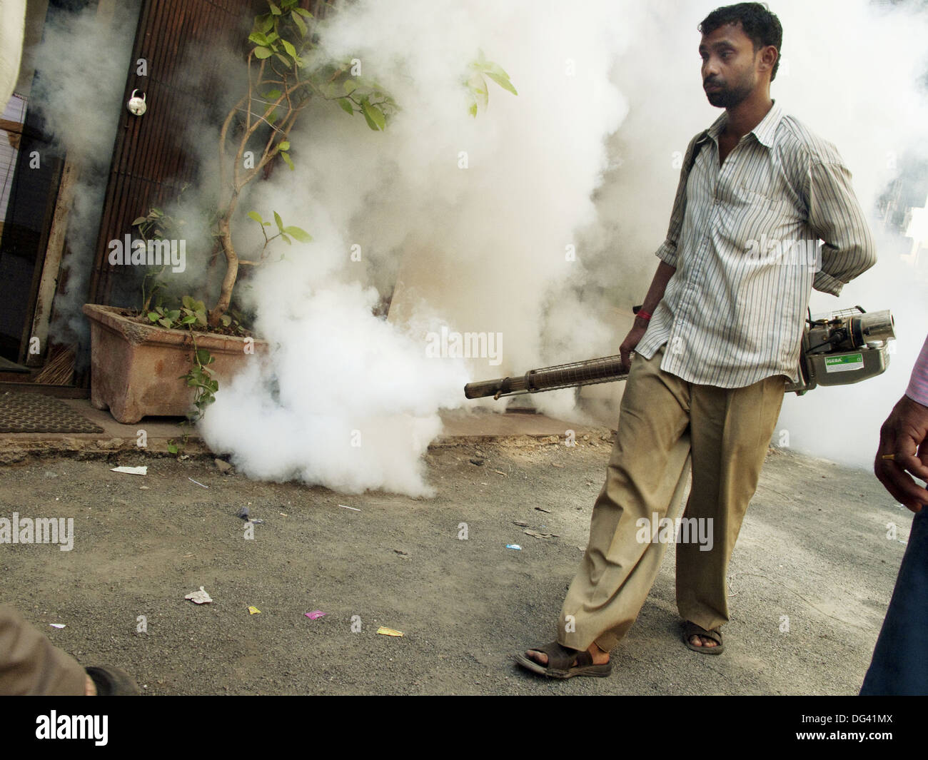 Pest control, Mumbai, Maharashtra, India Stock Photo Alamy
