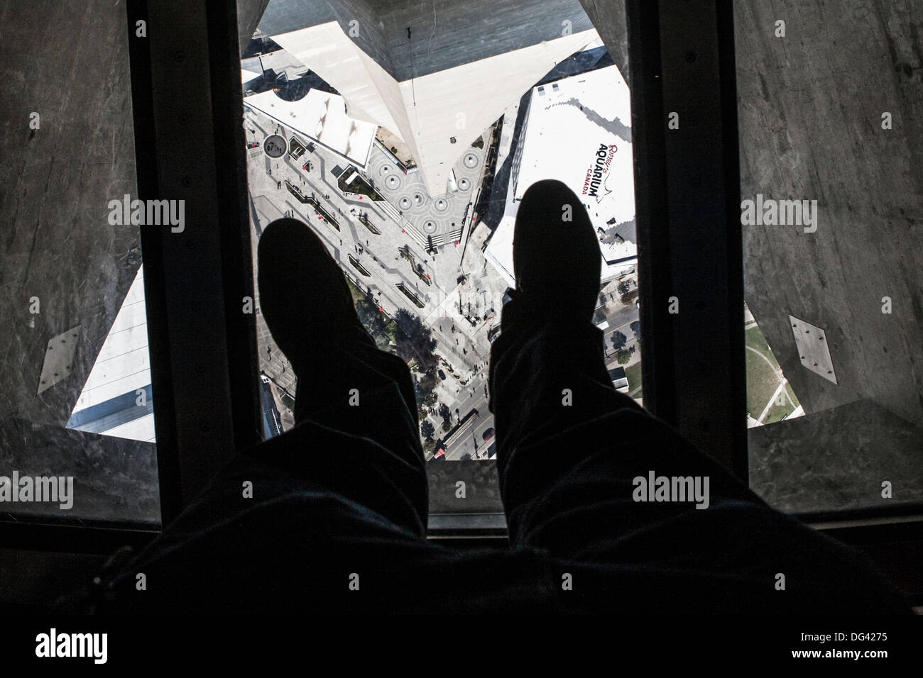 Glass Floor Cn Tower High Resolution Stock Photography and Images Alamy