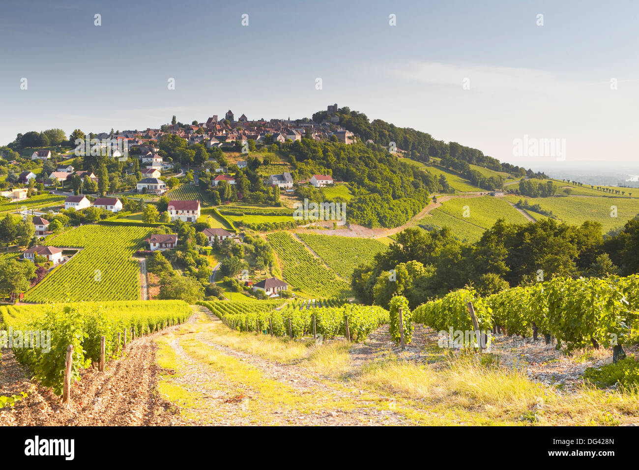 The vineyards of Sancerre in the Loire Valley, Cher, Centre, France, Europe Stock Photo