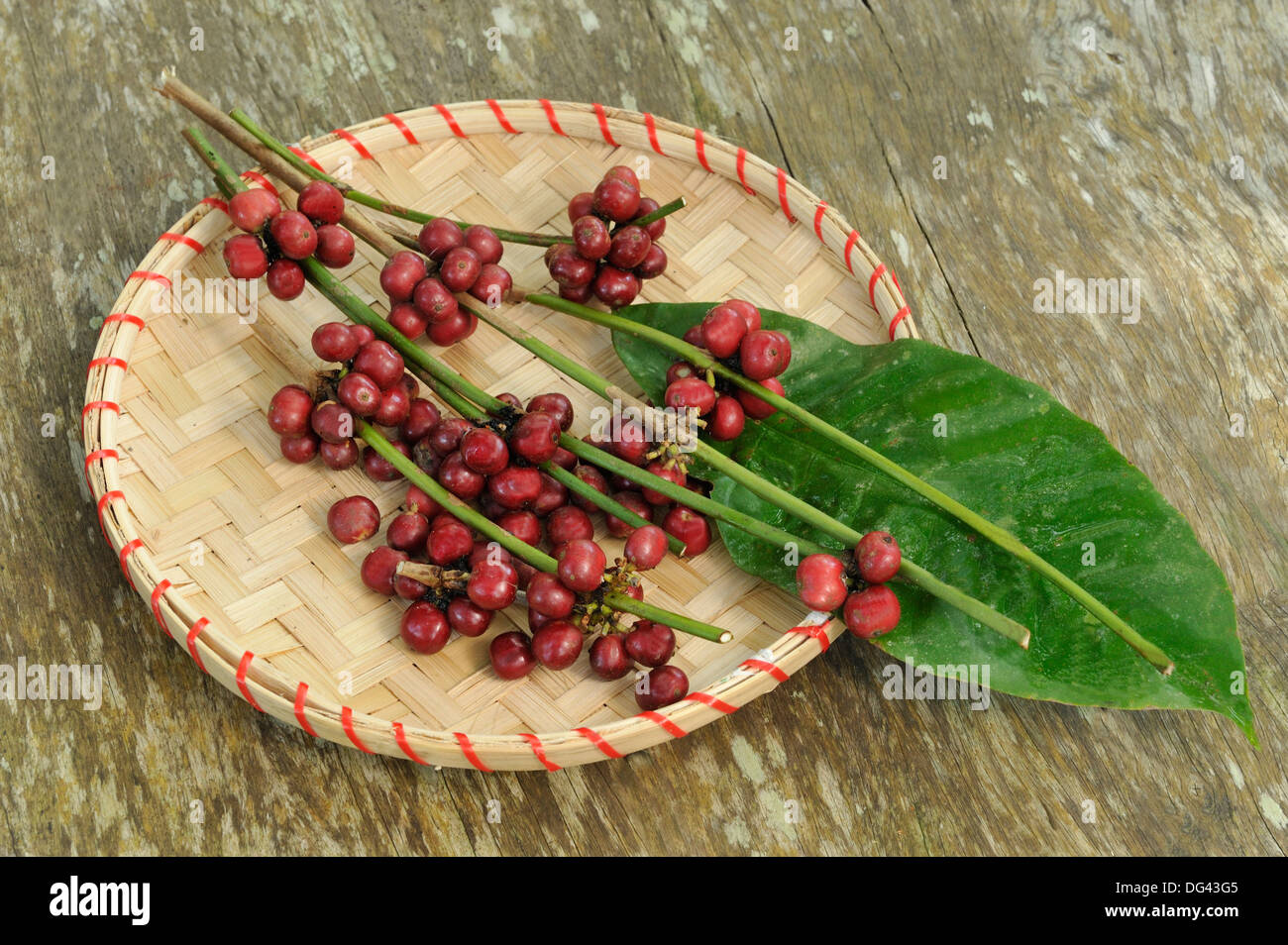 Coffee, Bali, Indonesia, Southeast Asia, Asia Stock Photo Alamy
