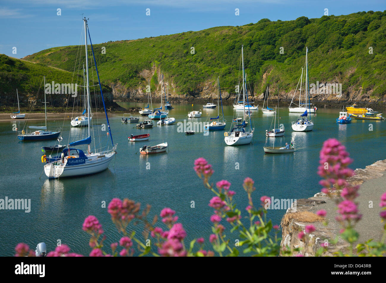 Solva Harbour, Pembrokeshire, Wales, United Kingdom, Europe Stock Photo
