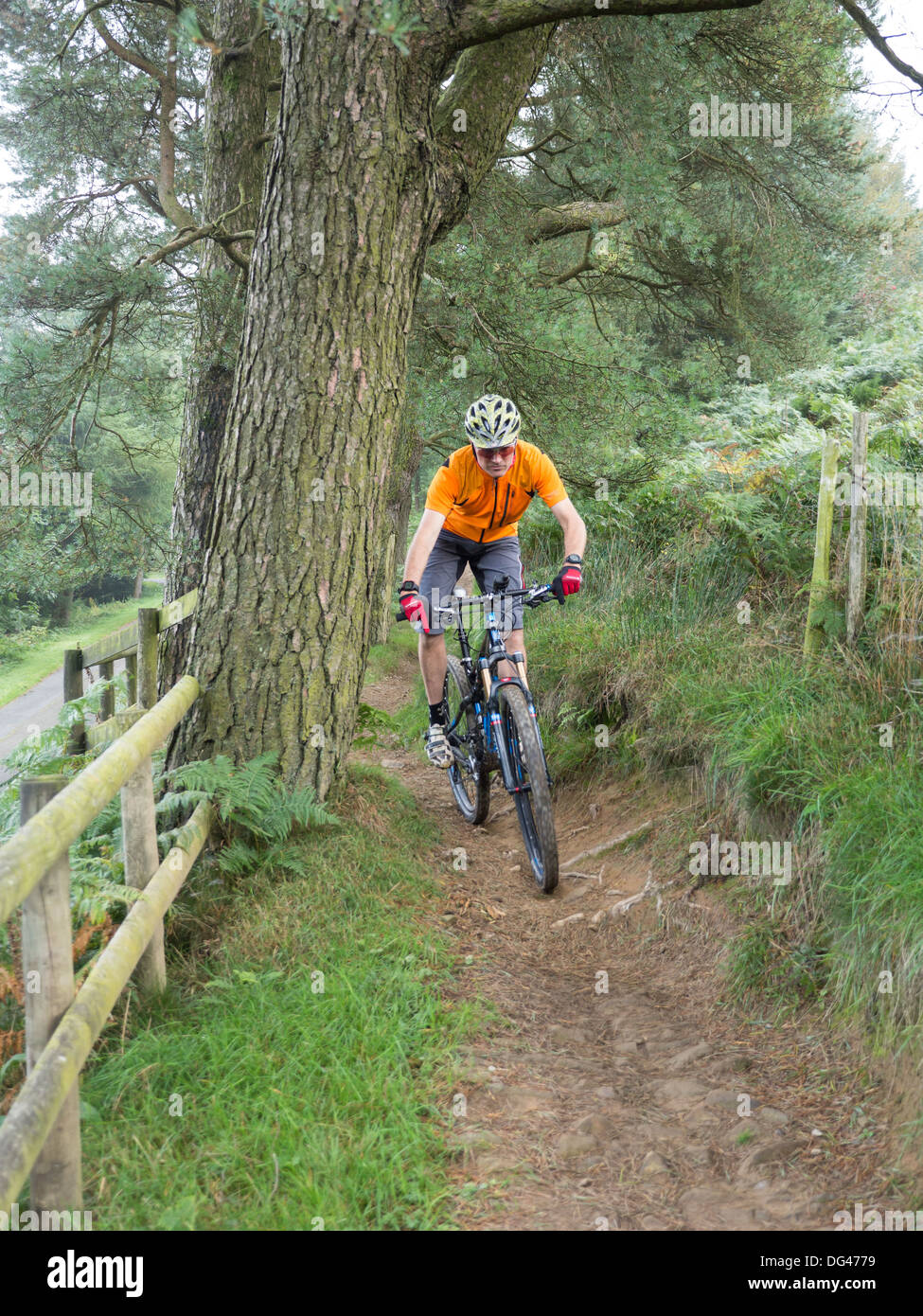 south park mountain bike trails