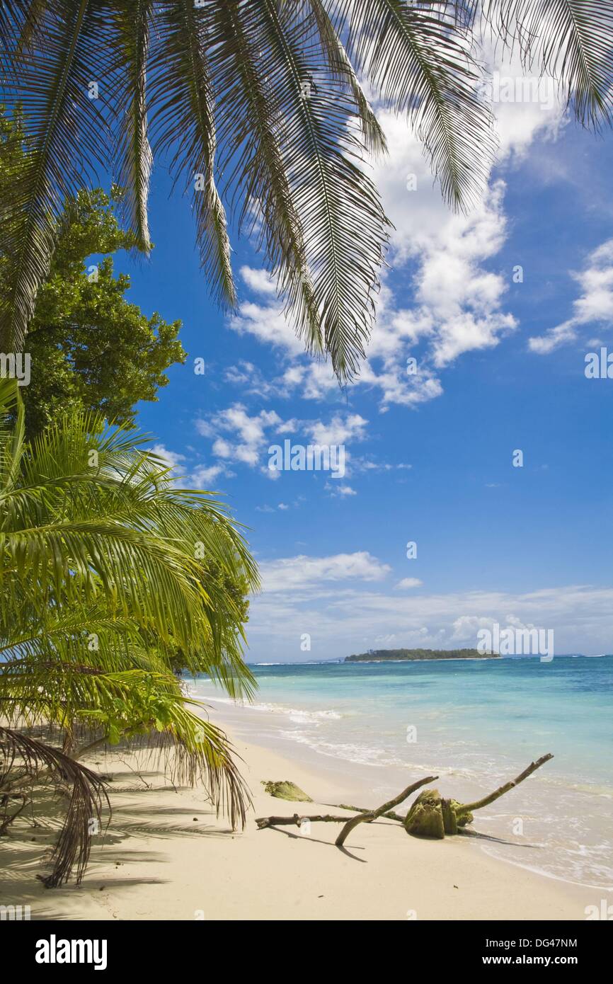Beach on Cayos Zapatillas (Zapatillas Keys), Bocas del Toro Province,  Panama Stock Photo - Alamy
