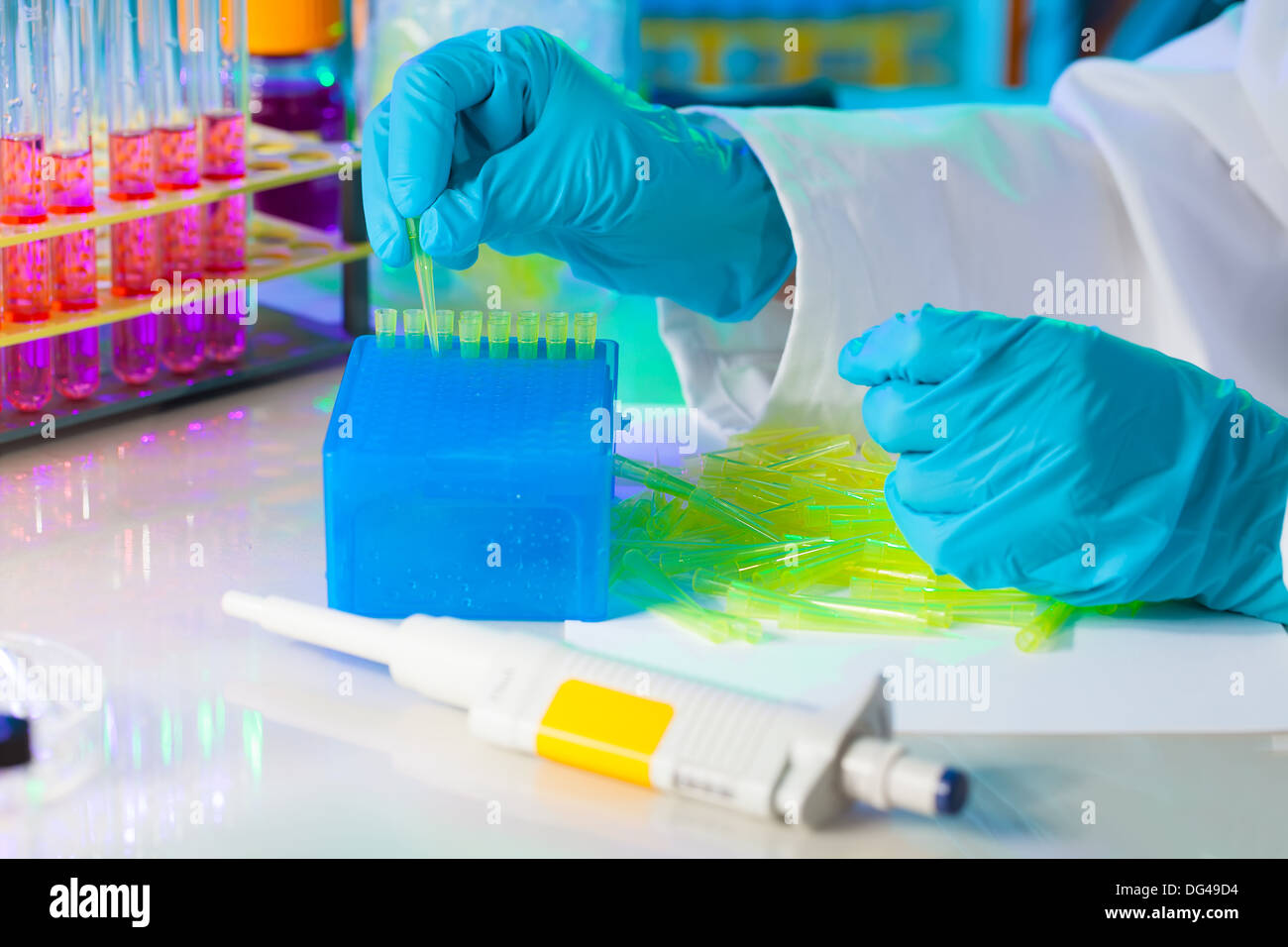 Tech fills in a plastic box with yellow tips for automatic pipette Stock Photo