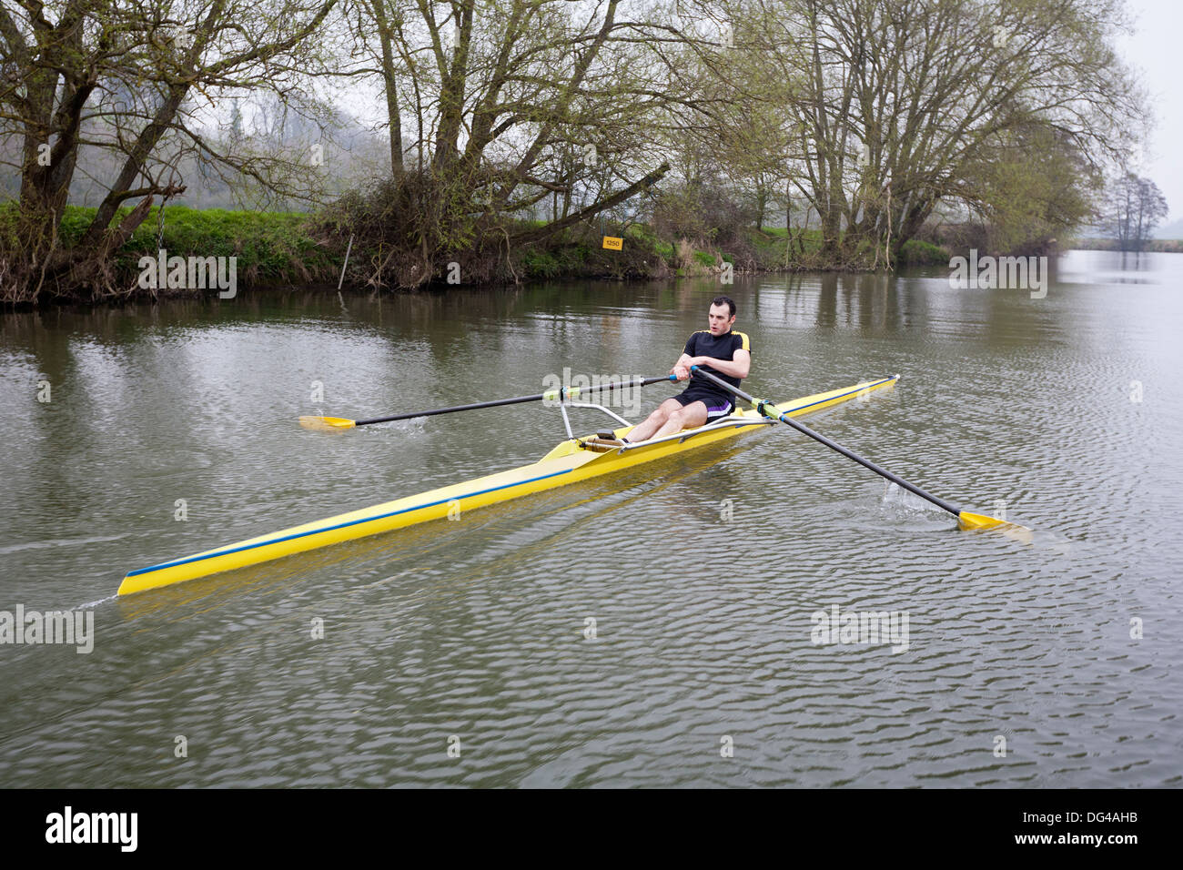 One Man in a scull rowing boat on the river Avon in Bath, UK. Stock Photo