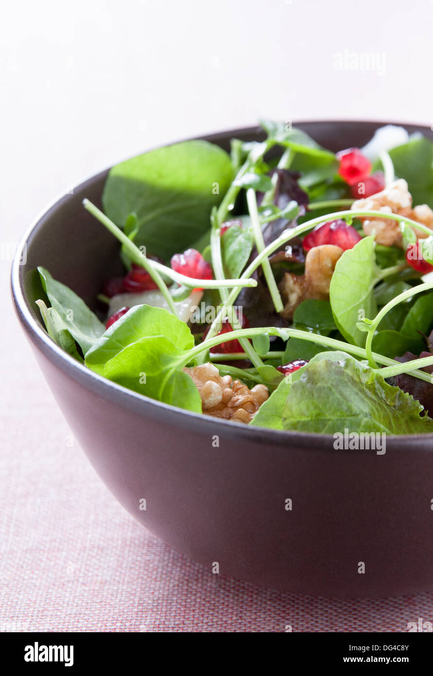 Delicious pomegranate salad with sheep cheese and walnuts Stock Photo