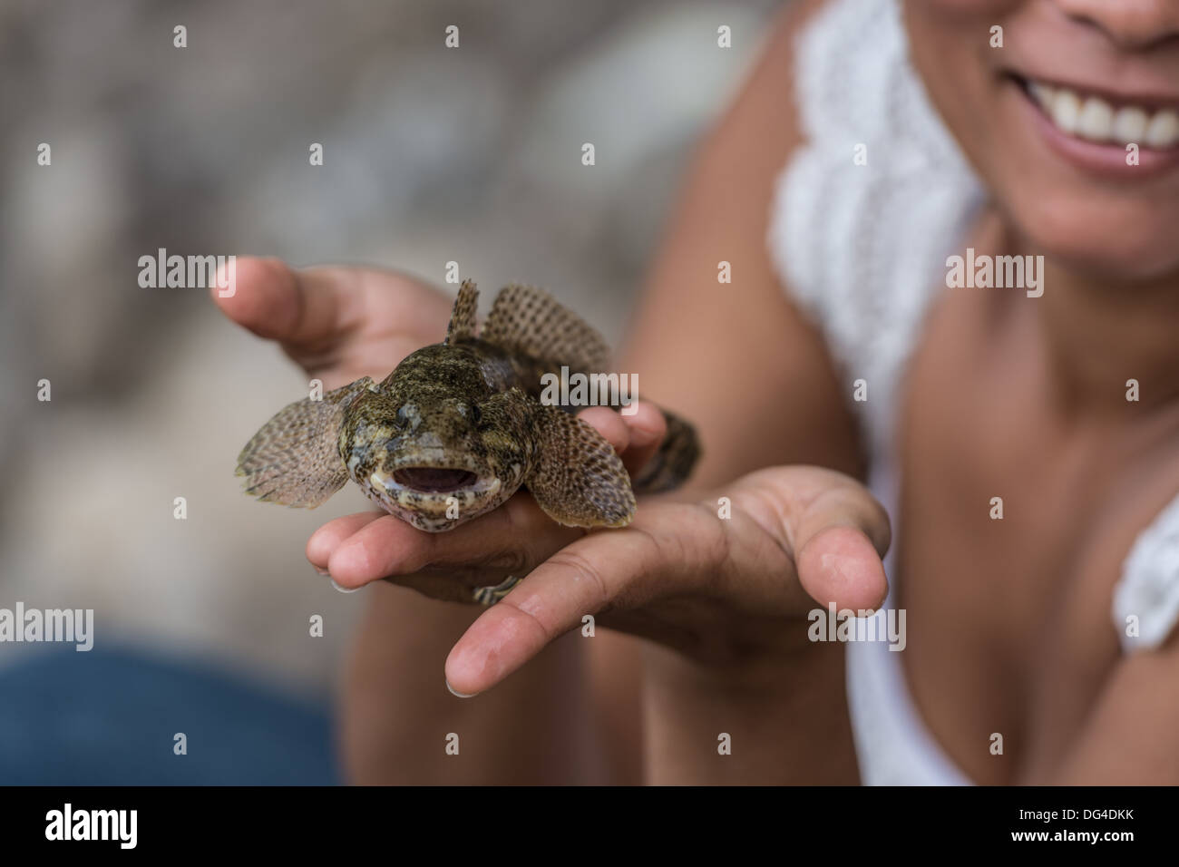 Gobius cobitis or Giant Goby fish carefully displayed by the happy and proud lady who just caught it. Stock Photo