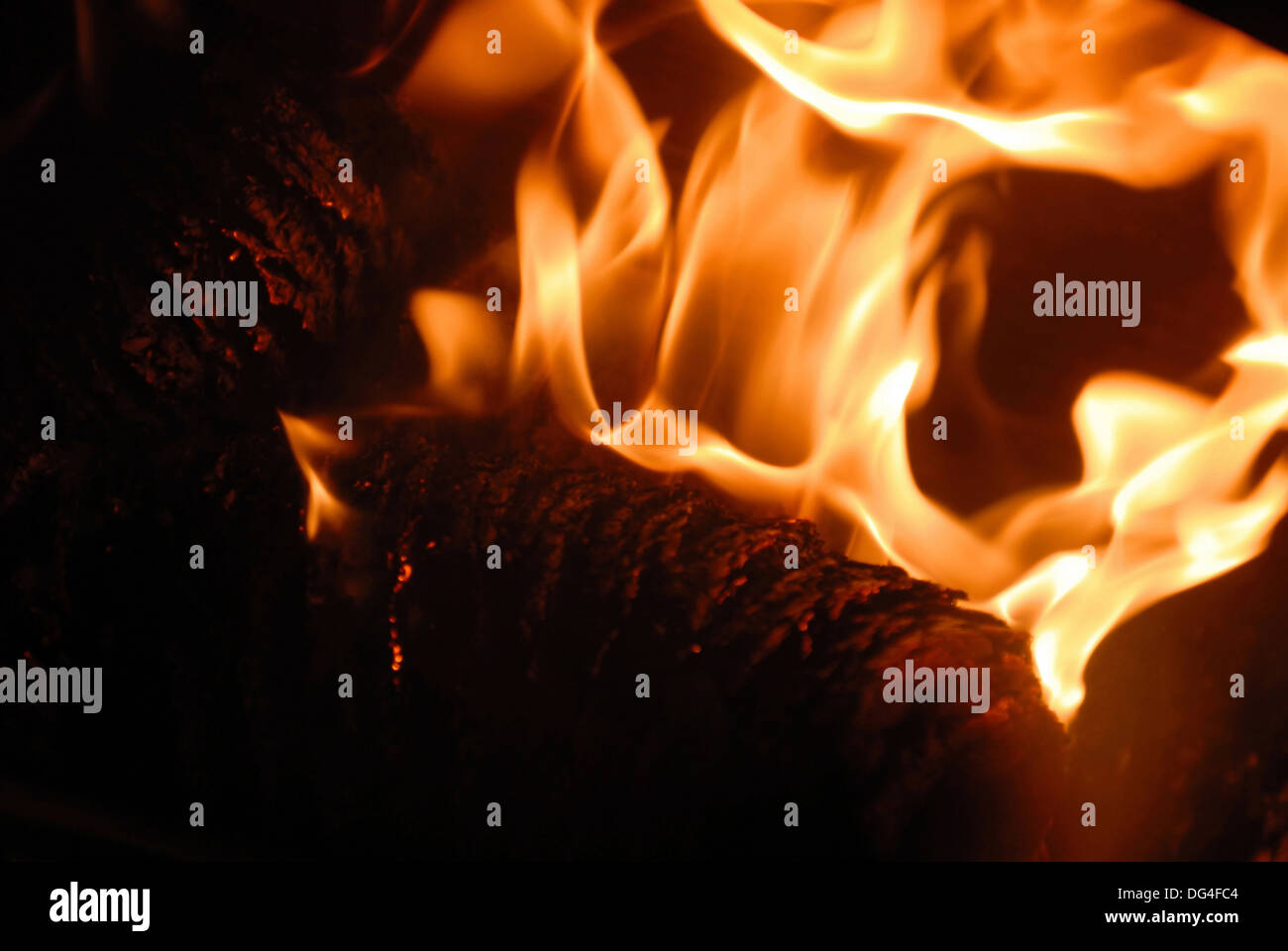 Flames in fire grate Stock Photo Alamy