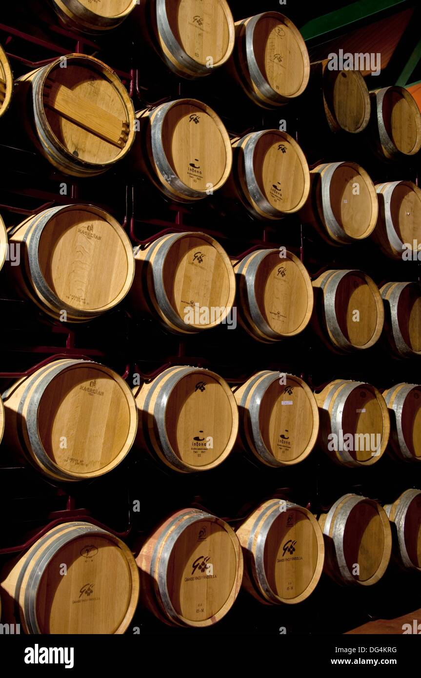 VineGrowing in Cariñena, Zaragoza Wine production and Winery industry