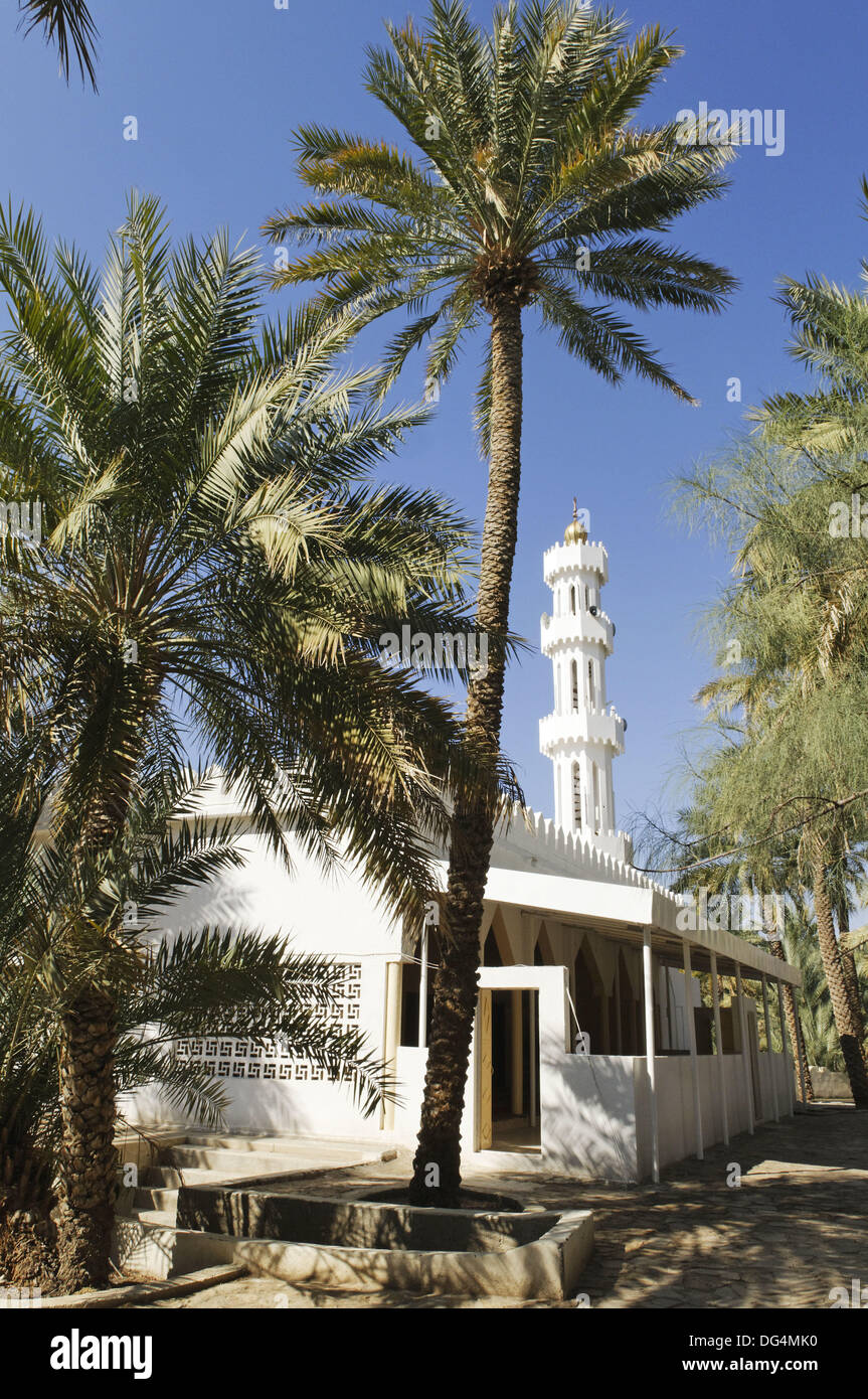 Mosque And Minarette In The Palm Garden Of Mahadah Oasis Near