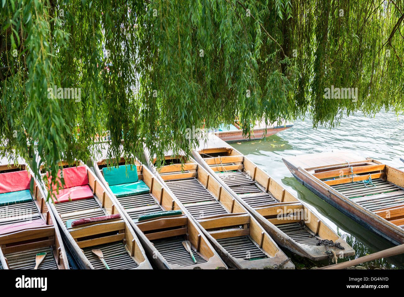 High angle tight crop of gondolas ashore side by side under weeping willow Stock Photo