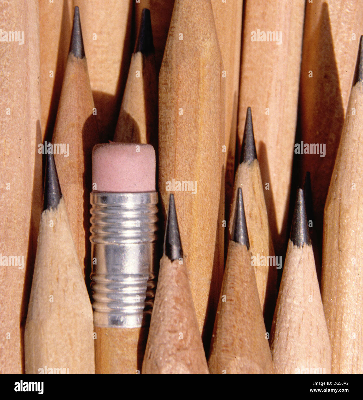 Pencils and one eraser rubber tip Stock Photo Alamy