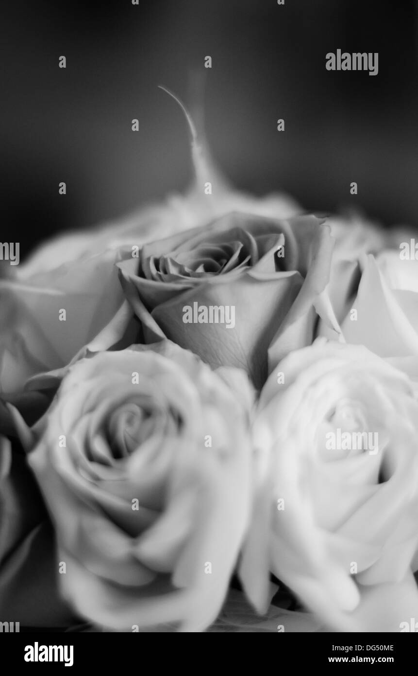 Wedding background Black and White Stock Photos & Images - Alamy