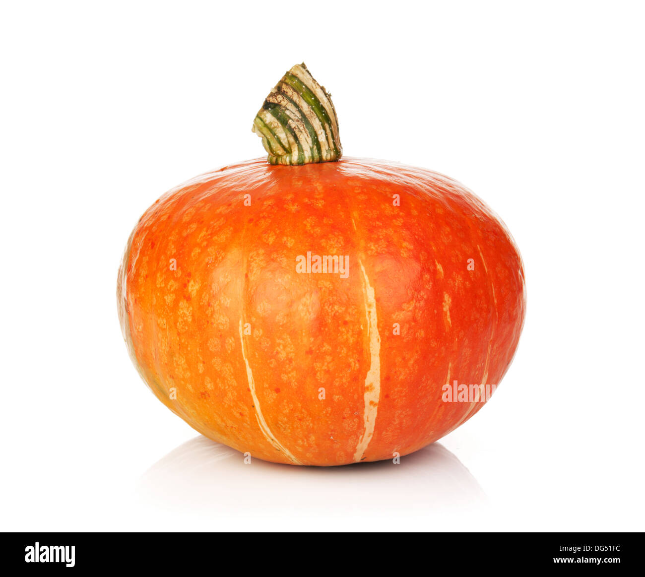 Ripe small pumpkin. Isolated on white background Stock Photo