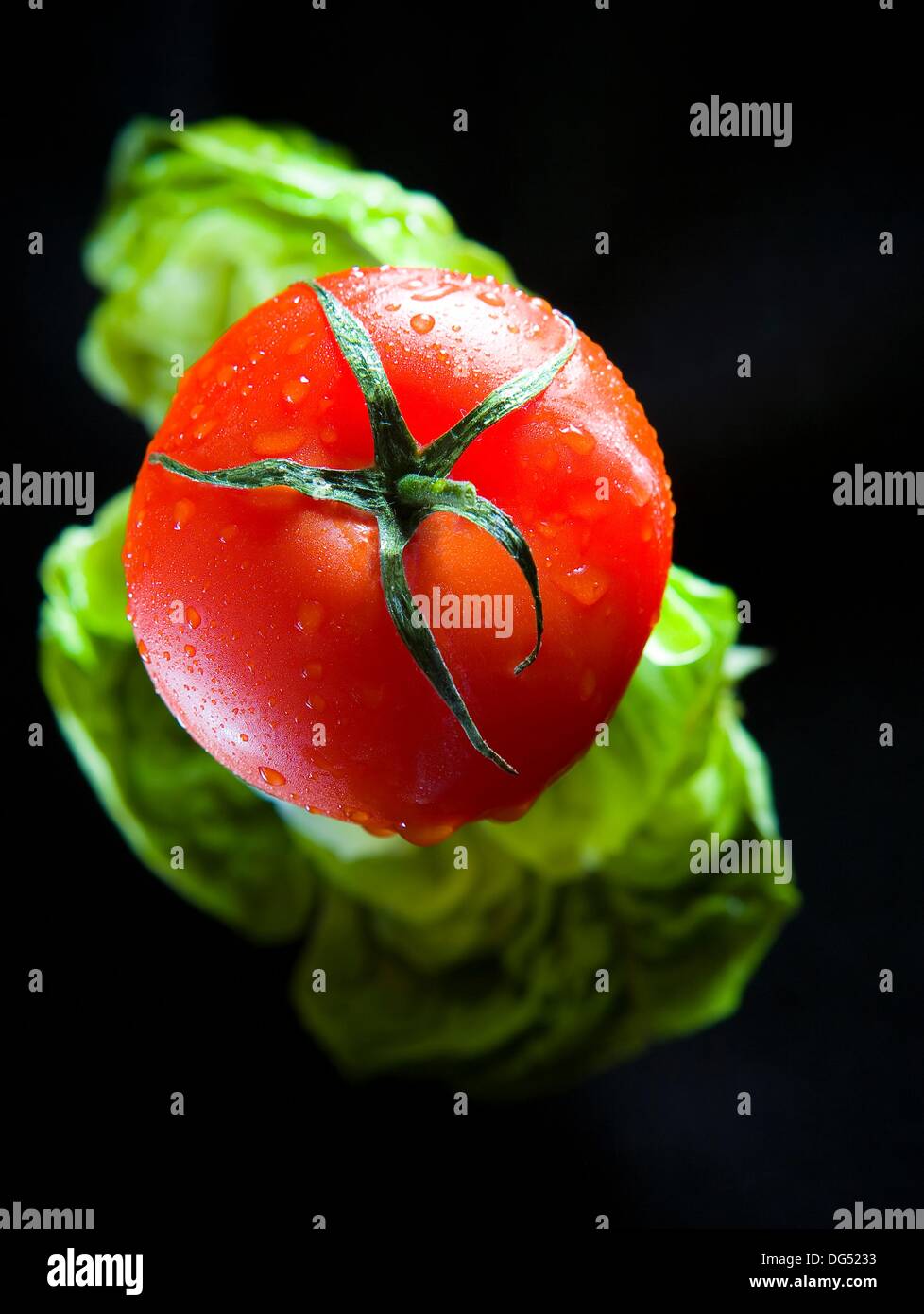 Vine ripened tomato floating in the air with lettuce leaf Stock Photo -  Alamy