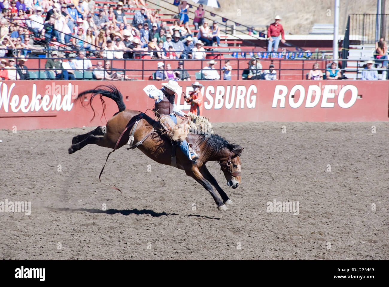 Saddle bronc riding hi-res stock photography and images - Alamy