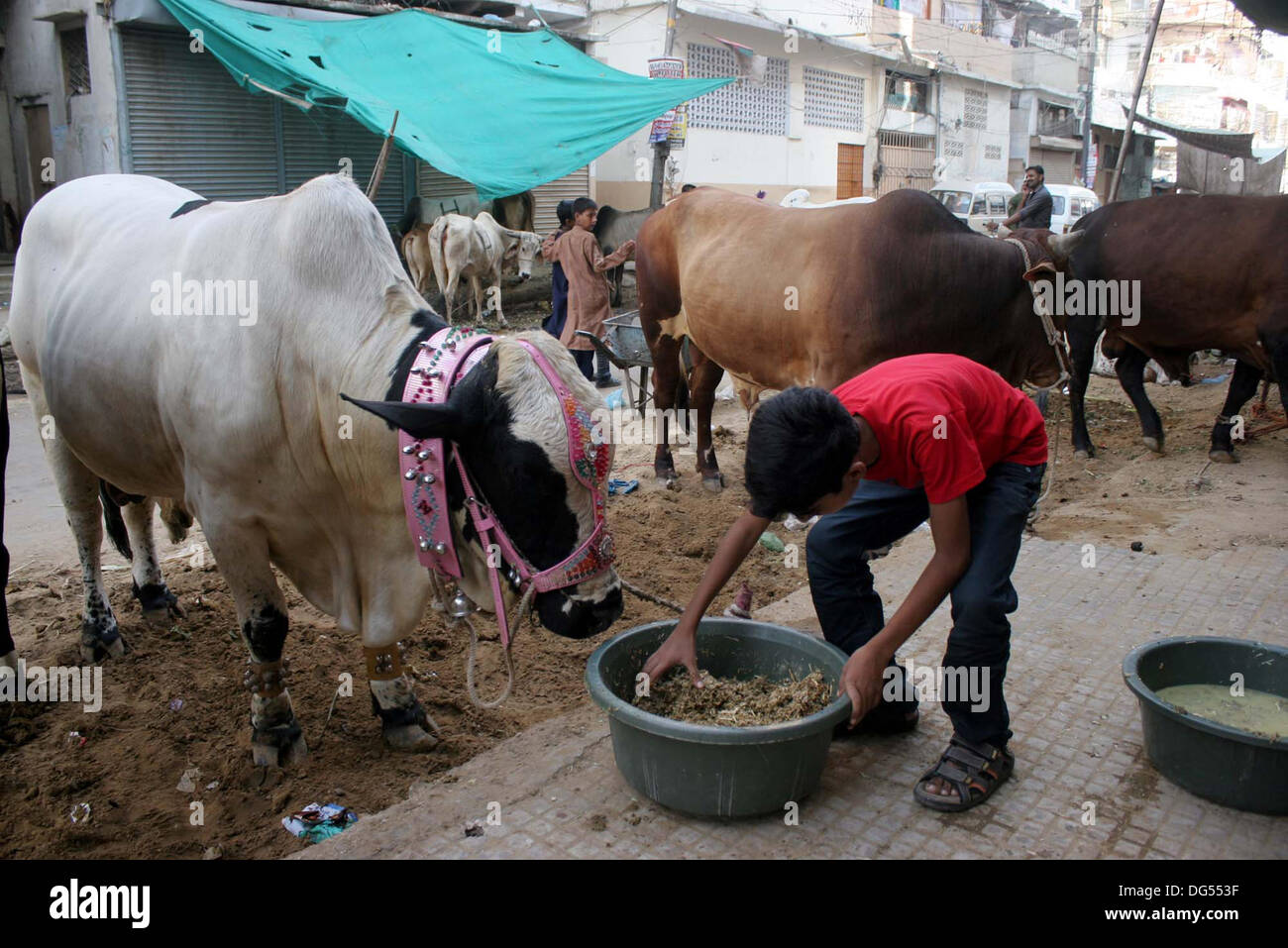 Hijjah Stock Photos & Hijjah Stock Images - Alamy