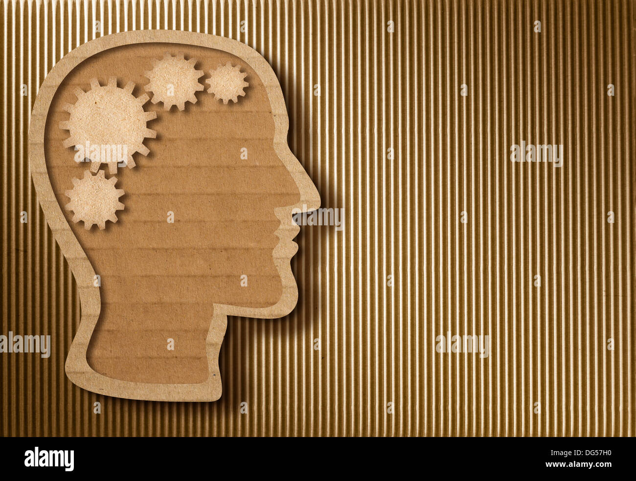 Human head model made from cardboard Stock Photo Alamy