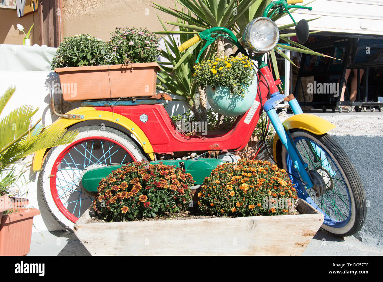 SANTORINI (THIRA), CYCLADES, GREECE. A colourful old Vespa moped forms the centrepiece of a garden display outside a taverna. Stock Photo