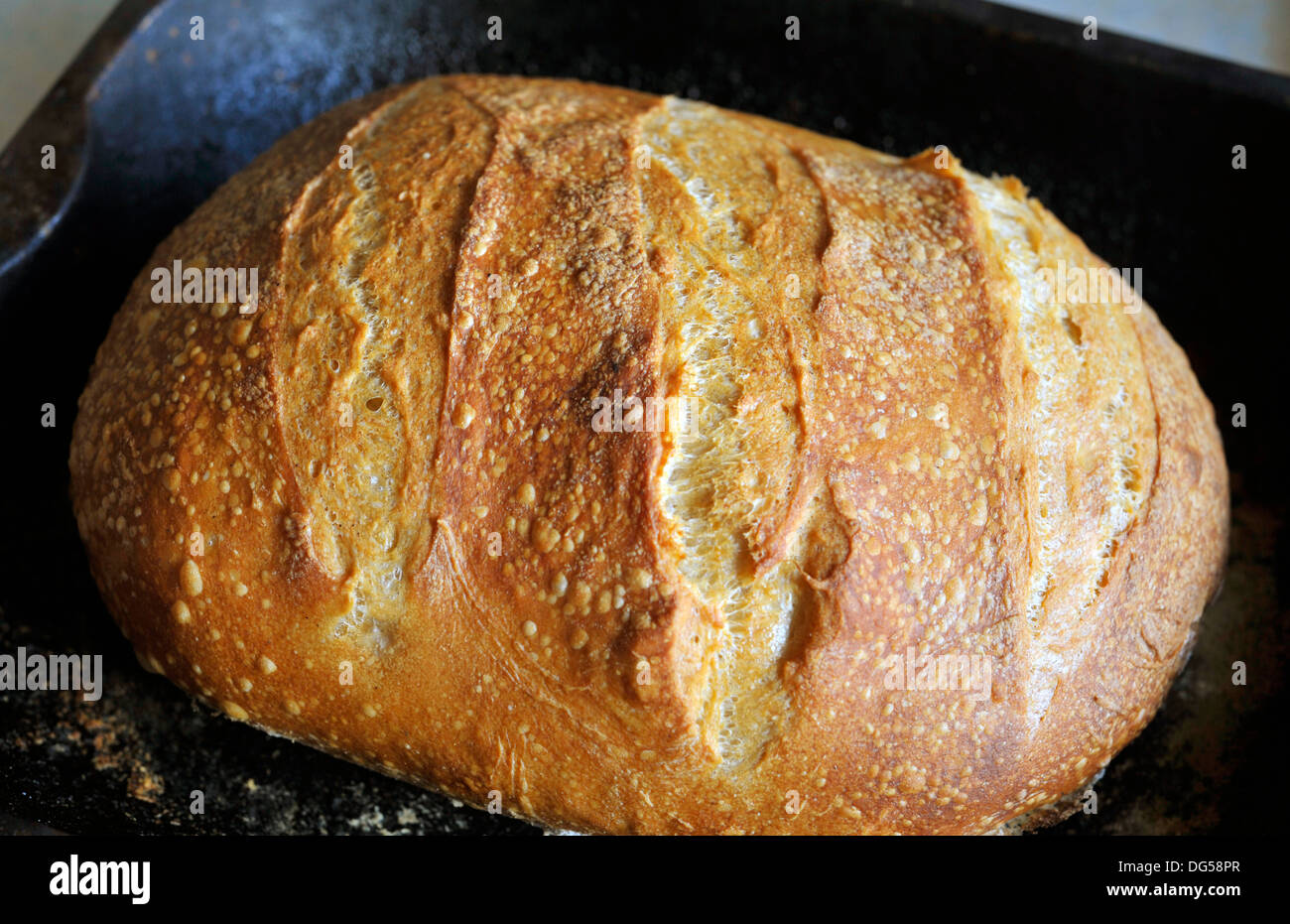 Homemade sourdough bread loaf Stock Photo Alamy