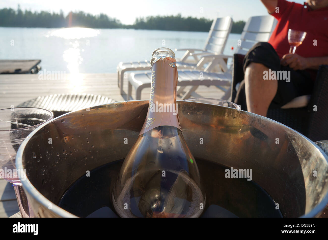 wine in ice bucket Stock Photo Alamy