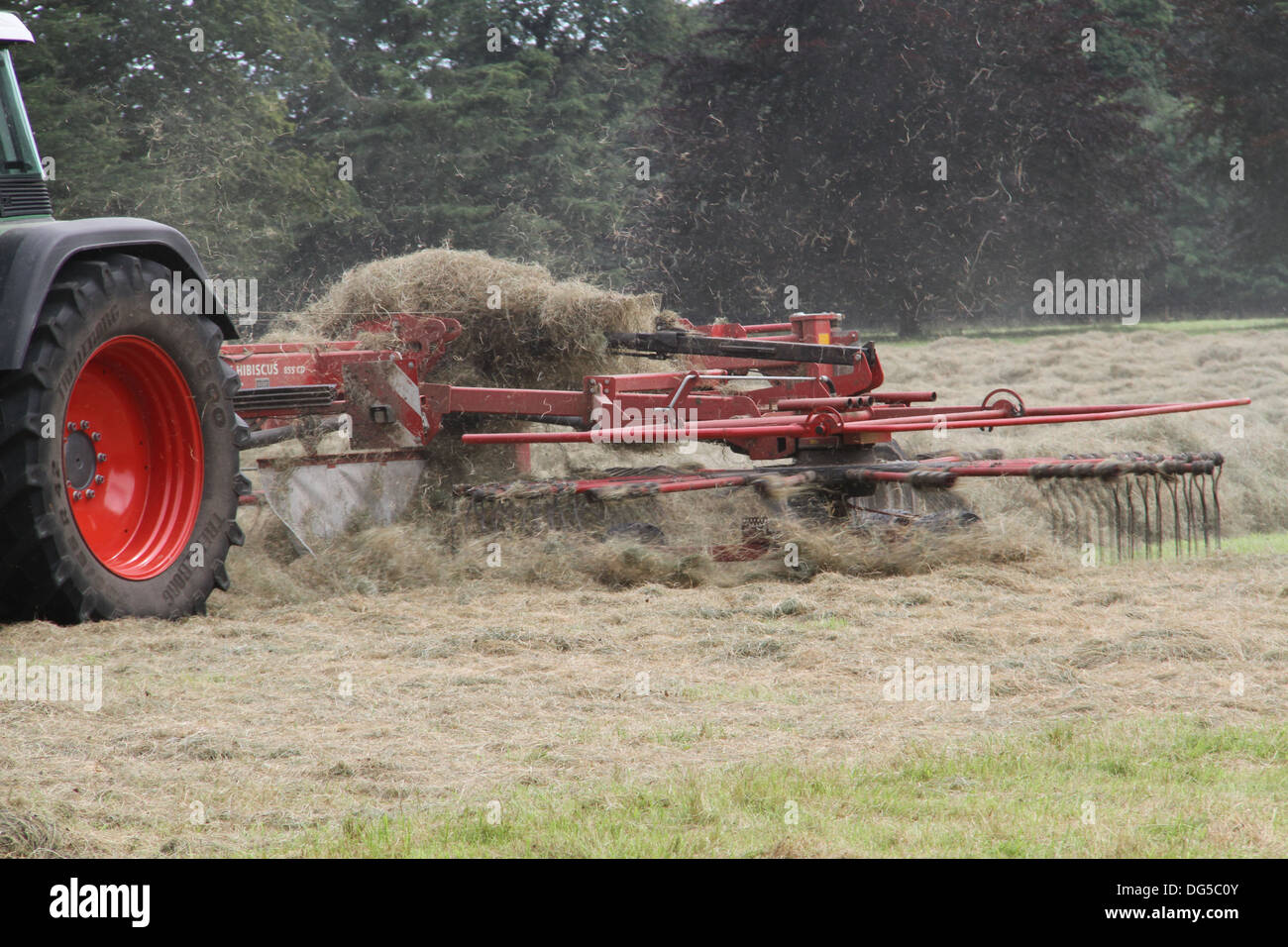 Hay in the making hi-res stock photography and images - Alamy