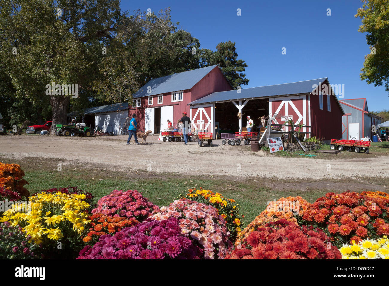 Fall at a farm in Minnesota, USA Stock Photo - Alamy